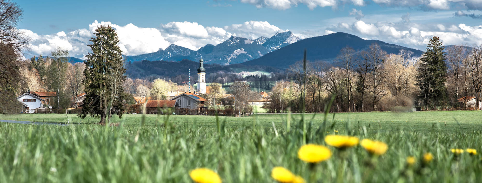 IP Immobilien Holzkirchen