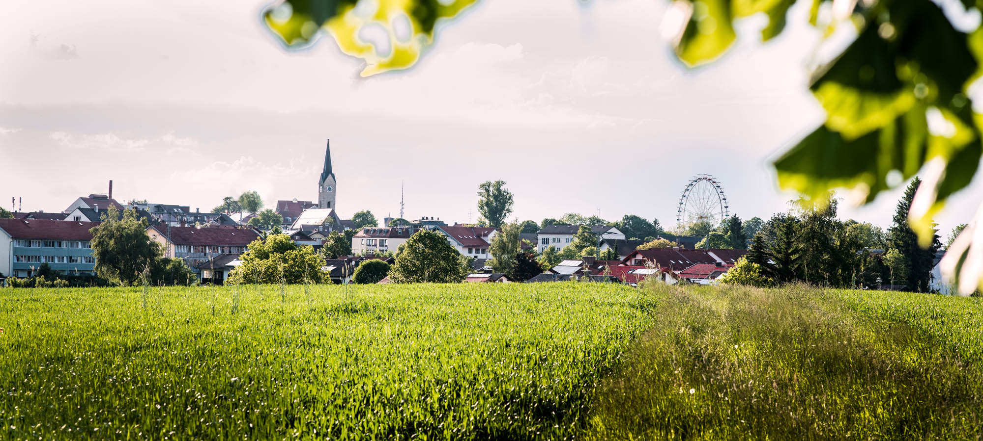 IP Immobilien Holzkirchen