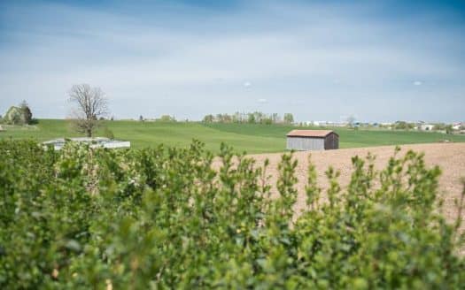 VERKAUFT – HOLZKIRCHEN ORTSTEIL MARSCHALL – SONNIGER BAUGRUND ZUR BEBAUUNG