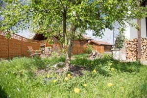 SONNIGES GRUNDSTÜCK