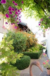 RUND UM DIE TERRASSE