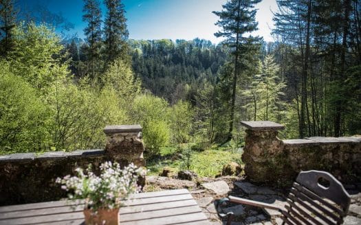 VERKAUFT – FREIZEITGRUNDSTÜCK – WIE IM MÄRCHEN – NATURPARADIES MIT URIGEM HÄUSCHEN IN ALLEINLAGE