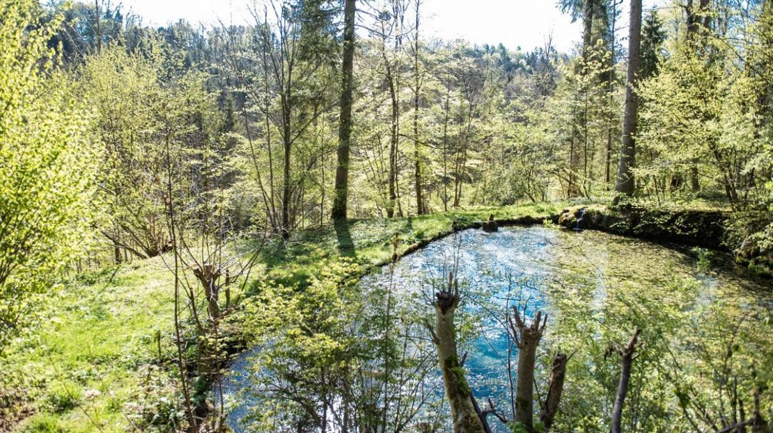 FISCHWEIHER