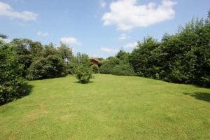 BLICK AUFS GRUNDSTÜCK