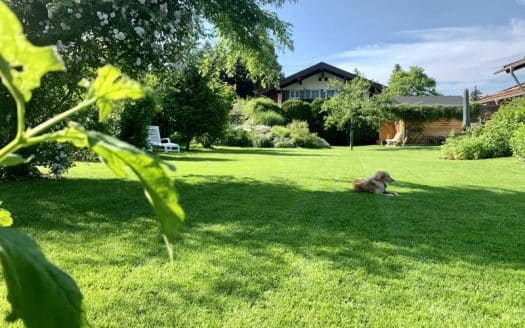 VERKAUFT – GRÜNE OASE MIT WALLBERGBLICK