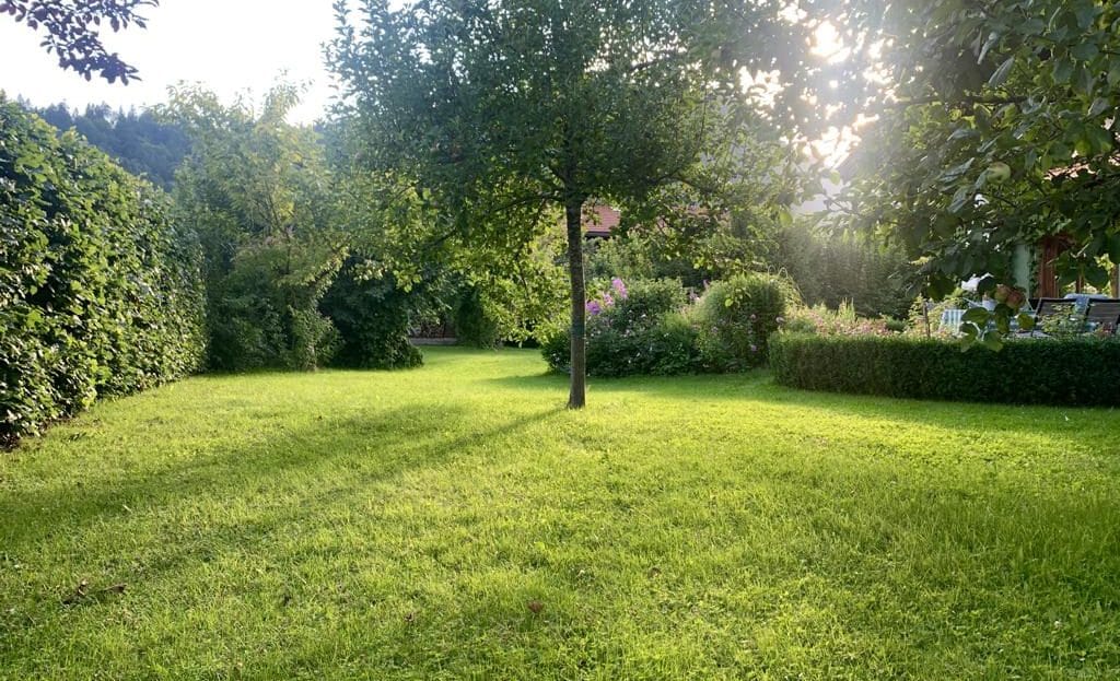 ABENDSTIMMUNG