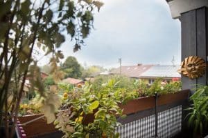 AUSSICHT NACH WESTEN