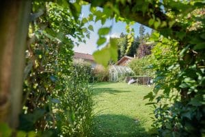 GRÜNE OASE IM SOMMER