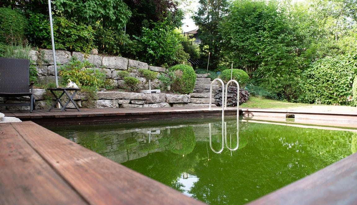 NATURPOOL MIT TEICHANLAGE