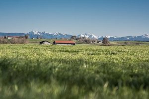 VORFREUDE AUF DIE BERGE