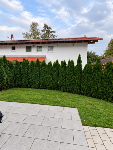 GARTEN