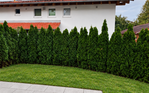 MODERNES FAMILIENHAUS IM GRÜNEN